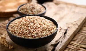 Gli integratori vitaminici e minerali sono fondamentali, specialmente in una dieta casalinga