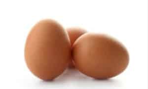 Le uova forniscono proteine di alta qualità e altre sostanze nutritive essenziali